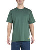 variant:Pine:collection-default
